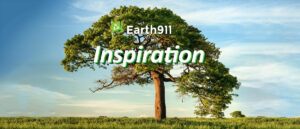 Earth911 Inspiration: The Hum of Bees